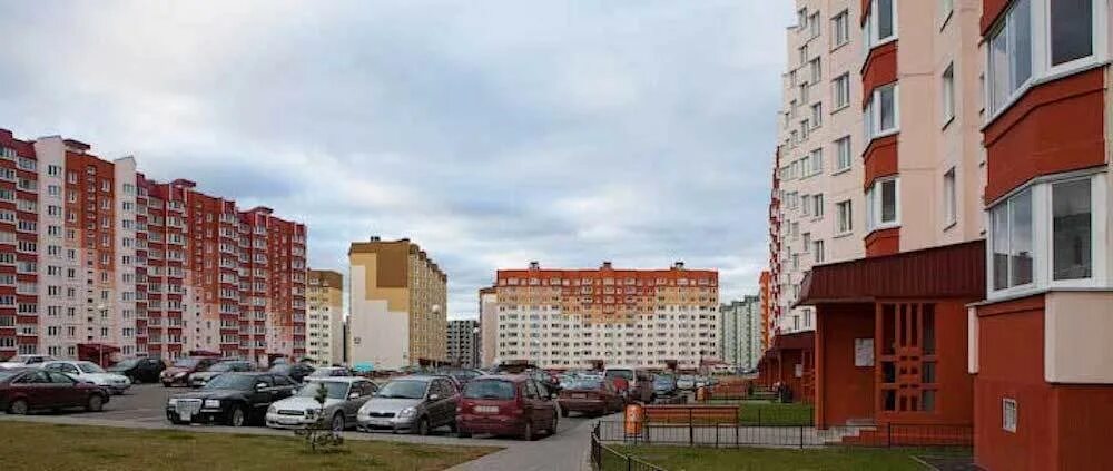 Боровляны бай. Боровляны зеленый Бор. Агрогородок Лесной Боровляны. Зеленый Бор Александрова Минск. Минск деревня Боровляны.