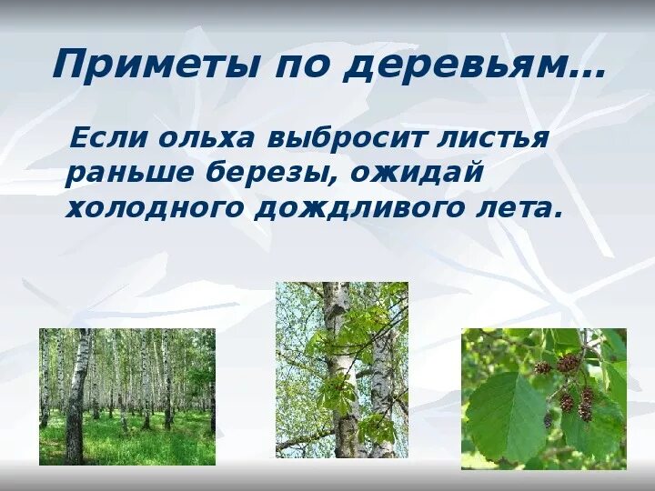 Приметы природных явлений. Народные приметы о природе. Приметы связанные с природой. Приметы неживой природы.