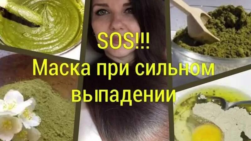 Маска для волос лавровая. Маска от выпадения волос. Ромашка и лавровый лист от выпадения волос. Лавровый лист для волос от выпадения. Маски от сильного выпадения волос.