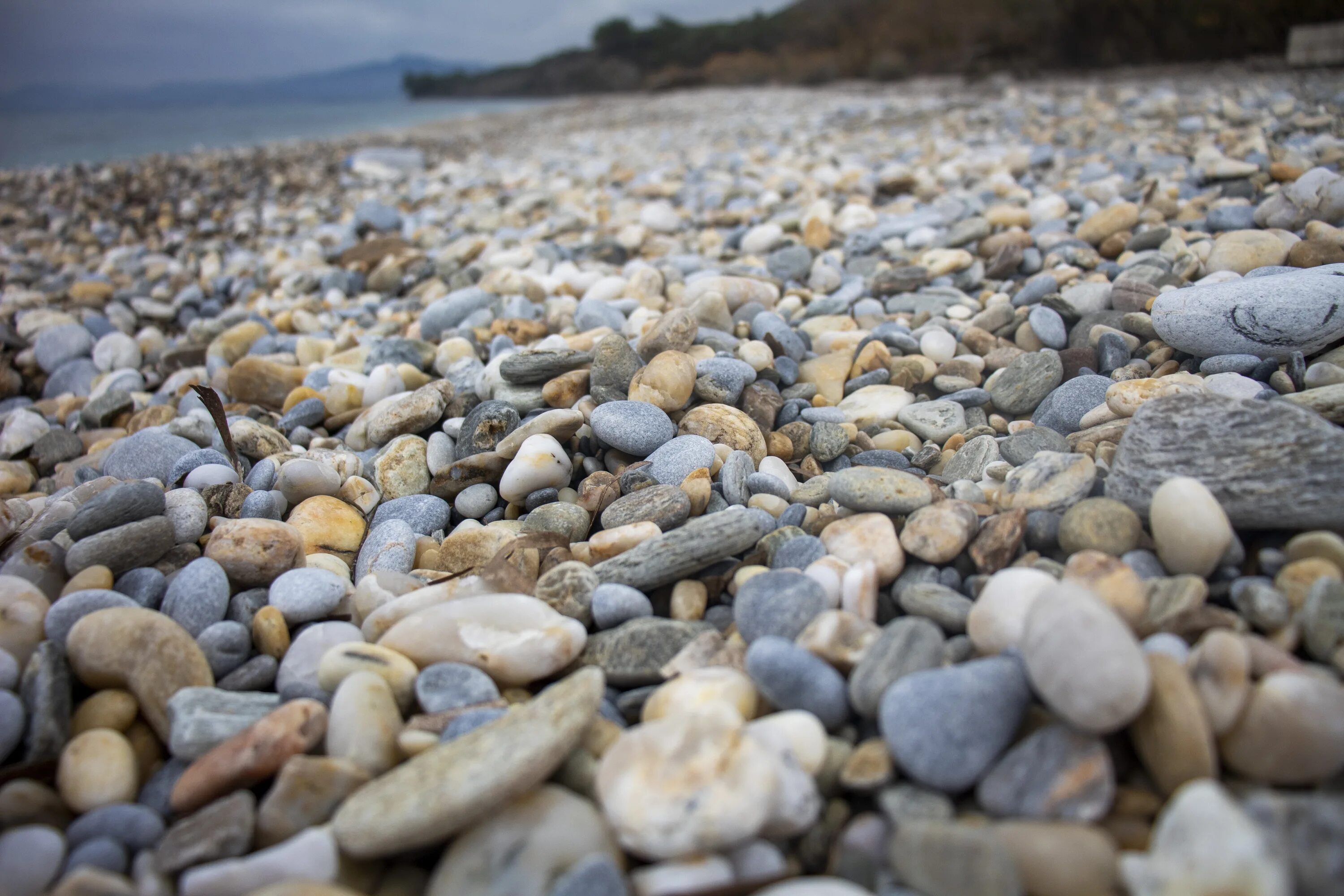 Галька происхождение. Галечный пляж Анапа камни. Галечный пляж Лазаревское. Каменистый пляж в Анапе. Чамьюва галька.