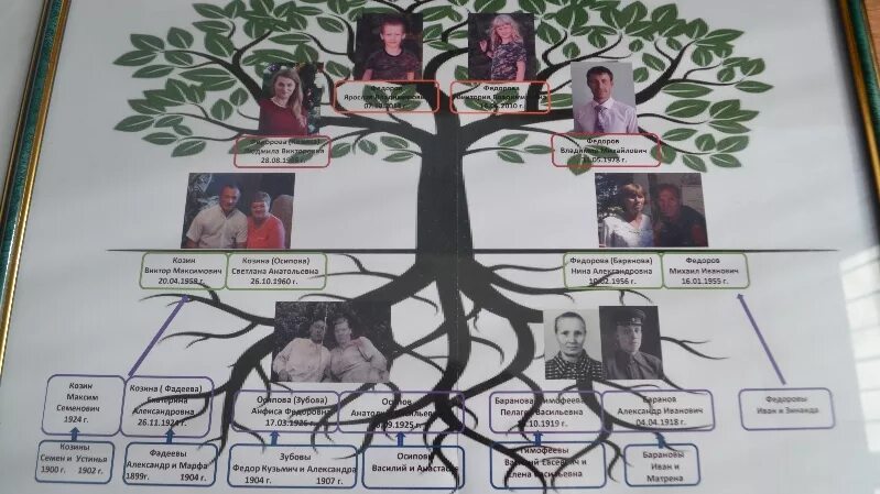 Генеалогическое дерево. Проект родословное дерево. Проект генеалогическое дерево. Проект родословная.
