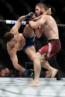 Правила ufc