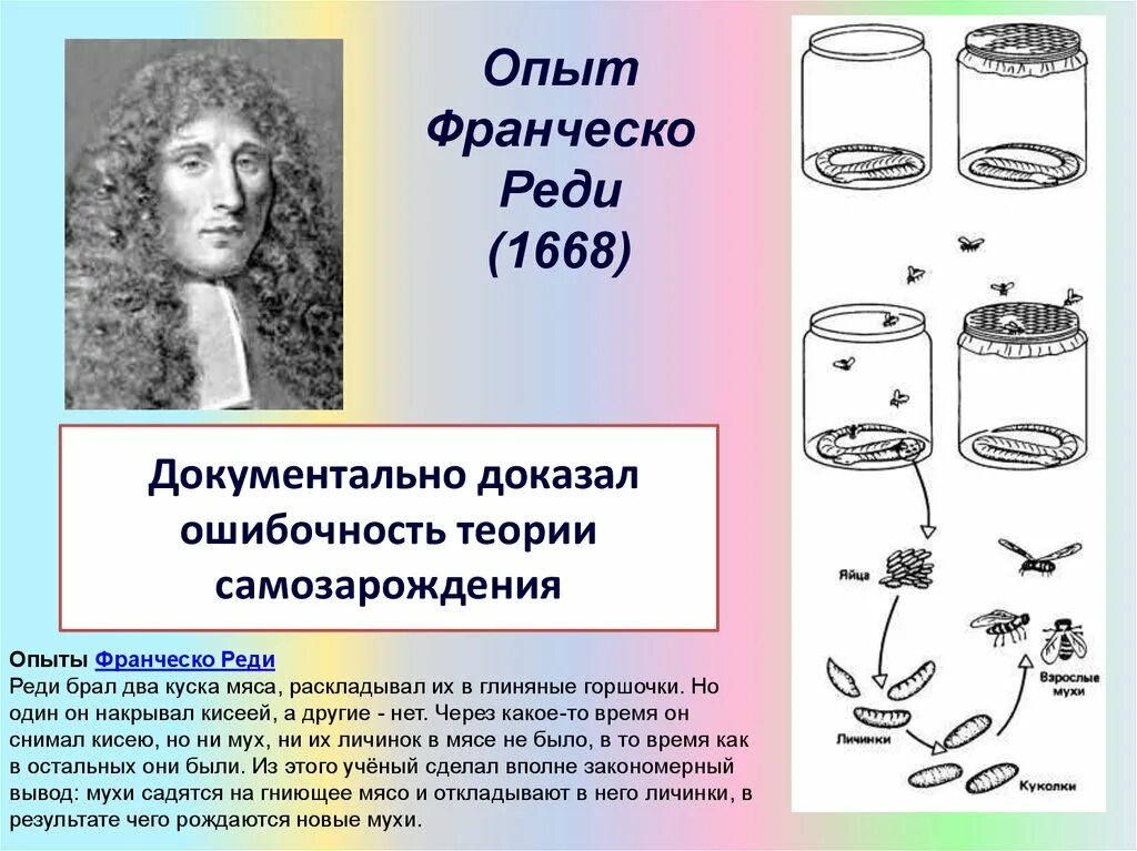 Франческо реди теория самозарождения. Франческо реди опыт с мясом. Франческо реди 1626 -1698. Эксперимент Франческо реди с мясом.