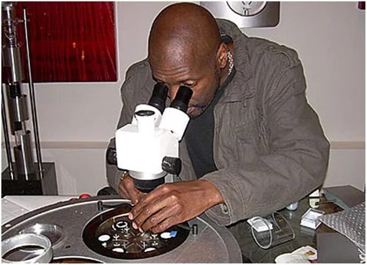 Willard wigan. Willard wigan. уиллард уиган. Willard wigan. микроминиатюры уилларда уигана.