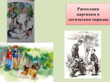 Рассказ кто хозяин осеева