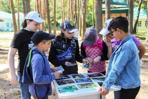 Проведена экологическая игра