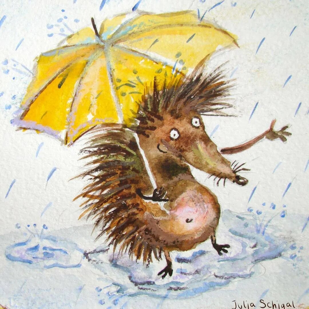 Ежик дождь. Ежик под зонтиком. Ежик и дождь. Еж под зонтом. Дождливый Ежик.