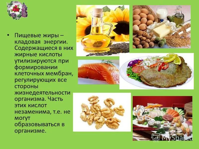 Теме жиры. Презентация на тему жиры. проект на тему жиры: презентация. жиры презентация биология.