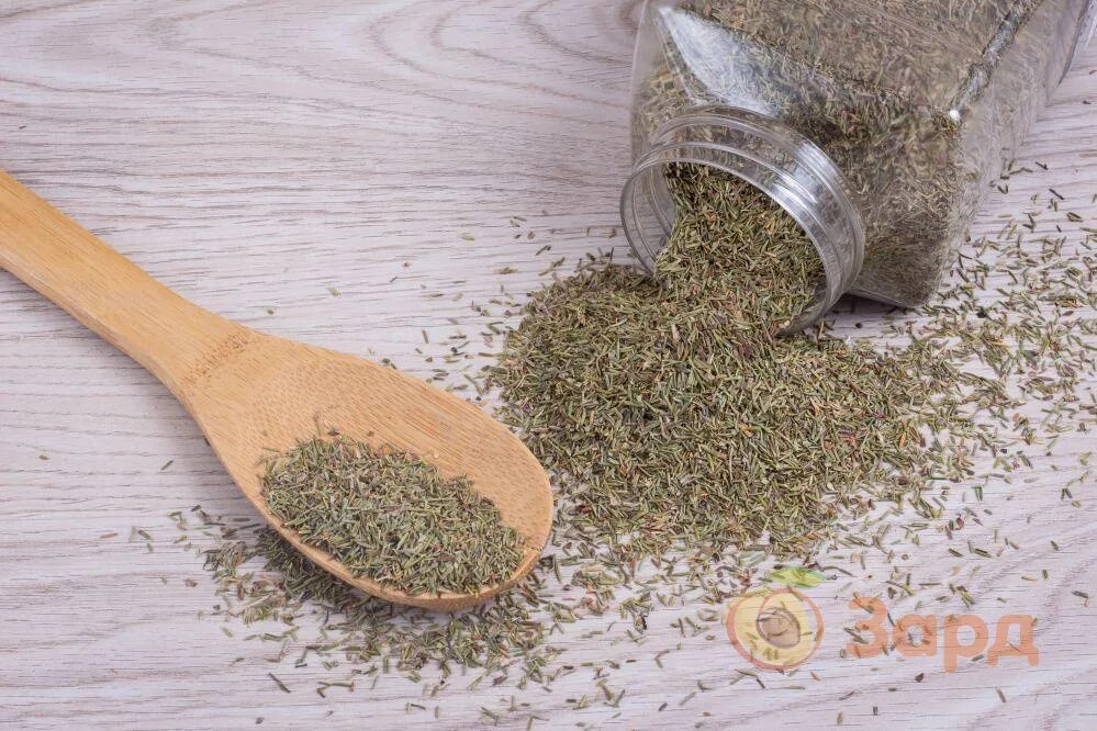 Розмарин цитрон. Розмарин спб. Новолитовская 15 а. Розмарин лекарственный (rosmarinus officinalis). Ресторан розмарин санкт-петербург.