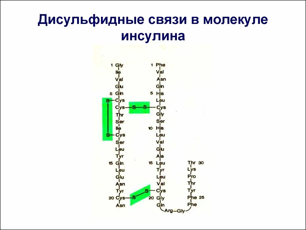 Образование дисульфидных связей в белке. Дисульфидные связи в молекуле инсулина. Дисульфидная связь в белках. Дисульфидные и ионные связи. Дисульфидные связи в волосах.