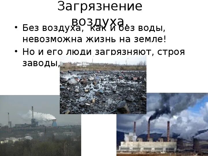 Природа не прощает ошибок. Природа не прощает ошибок