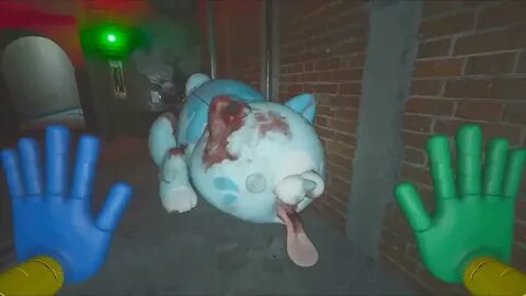 Кот poppy 3