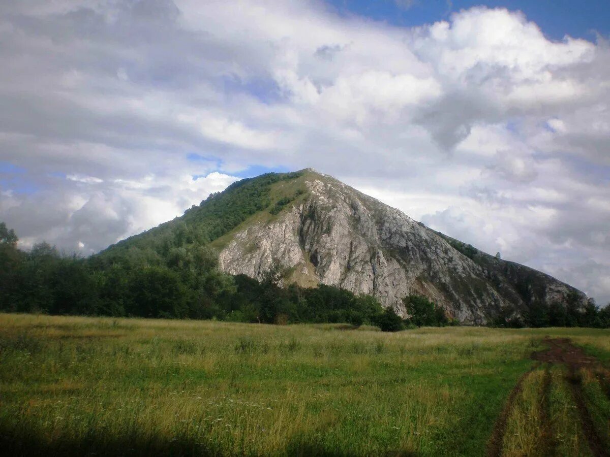 Д русская гора. Лысая (гора, Пятигорье). Гора лысая Пятигорск. Гора лысая Ставропольский край. Лысая (гора, Партизанский хребет).