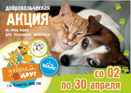 Корм животных дом