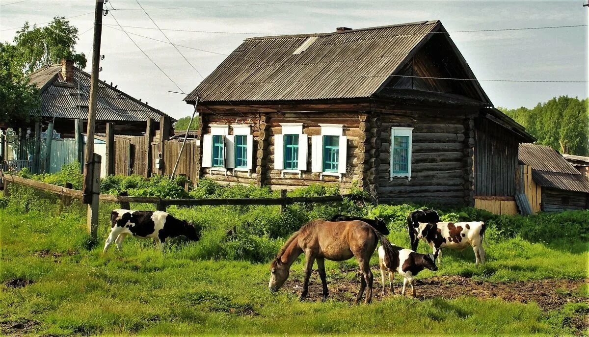 Про деревню россия