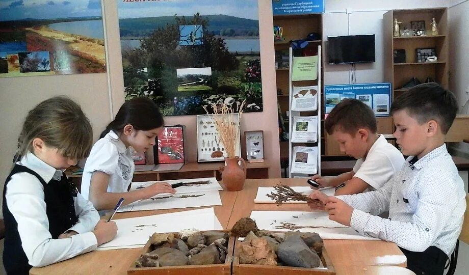 Сколько юннатов координатов в сообществе юных натуралистов. Станция юных натуралистов саров. сюн станция юных натуралистов. картина для станции юных натуралистов. конкурс юных натуралистов.