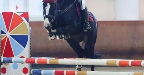 Capilot