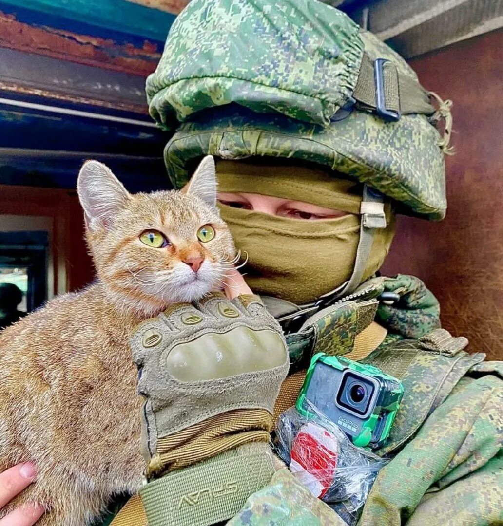 GoHa.Ru - Показать сообщение отдельно - О кошках.