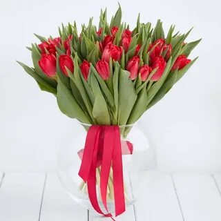 Тюльпан аргос
