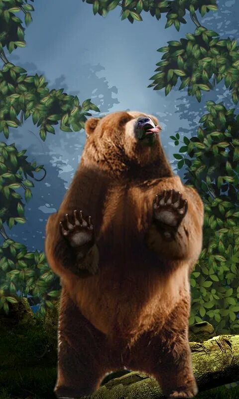 Танцующие медведи приложении. Dancing Bear #4. Live Bear. Актрисы Dancing Bear 15.
