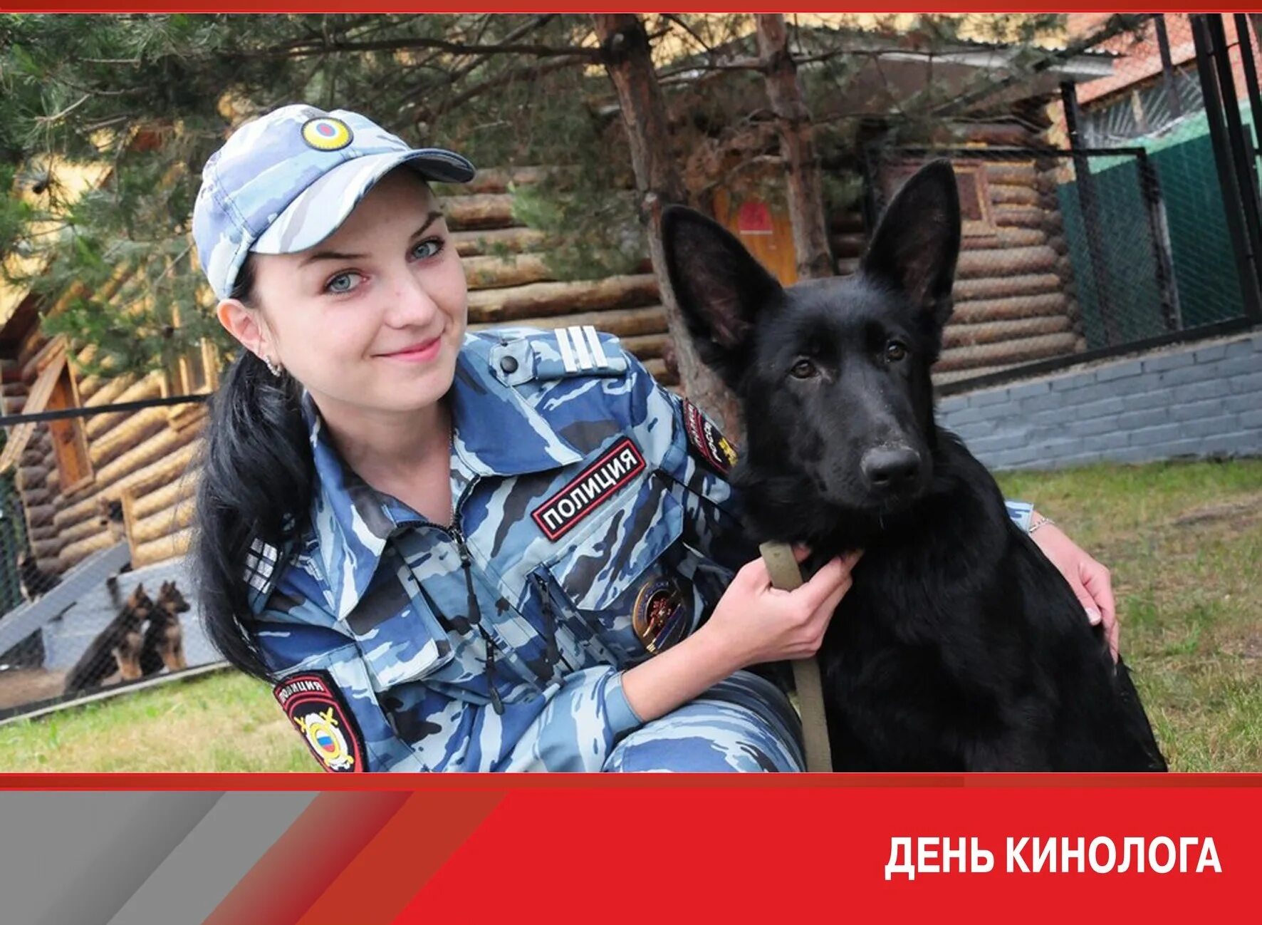 Уфсин кинологическая служба. Собаки кинологической службы. Ладыгин андрей борисович кинолог. Как стать кинологом в полиции. Кинологическая служба полиции мвд россии.