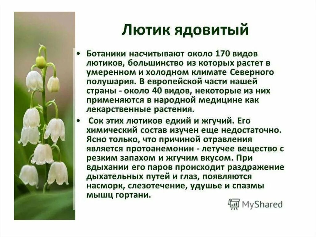 Определите царство в котором насчитывается около 5