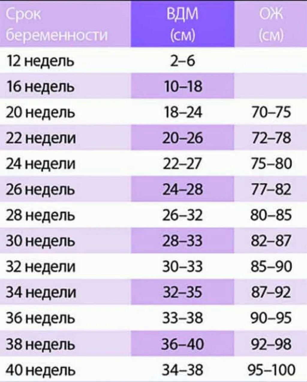 Воды на 27 неделе. Обхват живота при беременности по неделям норма таблица. ВДМ И ож при беременности по неделям. Окружность живота при беременности по неделям норма таблица. Окружность живота на 32 неделе беременности норма.