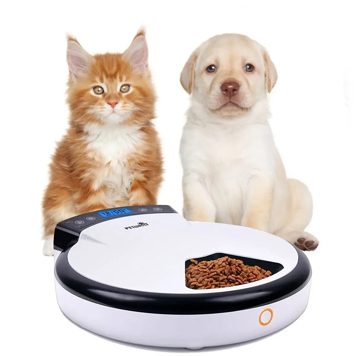 Petwant автокормушка. Automatic Pet Feeder. Корма для кошек и собак. Кормушка для собак.