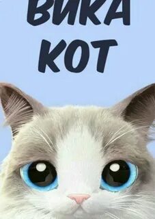 Коту 19 лет