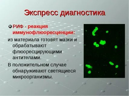 Заражение антителами
