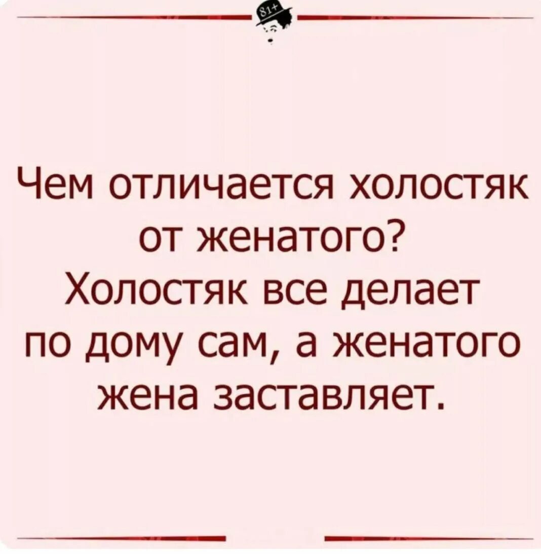 Цитаты холостяков. Цитаты холостяков. Счастье холостяка. Убежденный холостяк познакомится с ревнивой. Цитаты холостяков.
