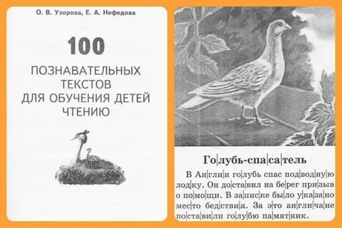 Познавательный текст