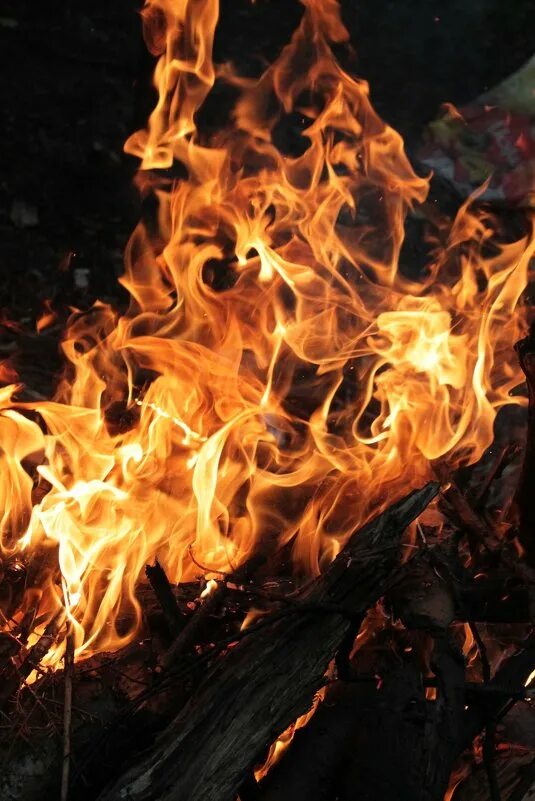 Интернет fire. Пожары листьев. L19u1d - burning flames (slowed + reverb). Мир в огне. Пламя мира.