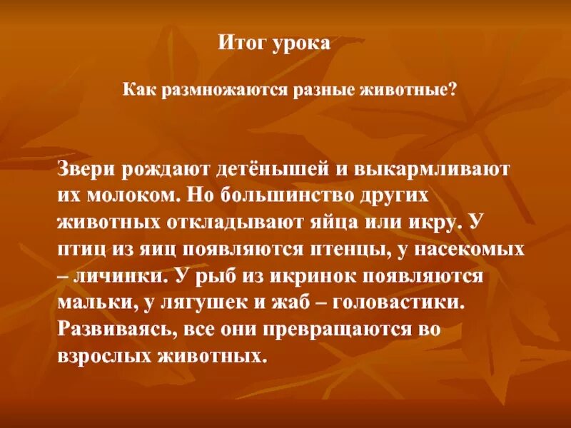 Рождает детенышей и выкармливает их молоком. Доклад как размножаются животные. Сообщение о размножении животных. Размножение животных 3 класс. Рассказ о размножении и развитии животных.