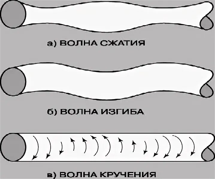 Волны изгиба кручения. Волна сжатия. Волнообразные изгибания тела характерен для. Прогиб волна животом. Волны изгиба