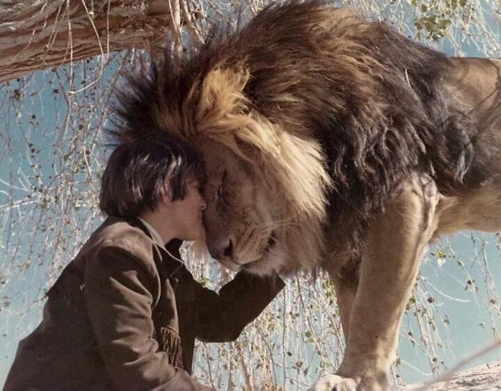 Хозяин собаки. Собака друг человека. Собака друг человека. Дети и бездомные животные. Уважение к животным.