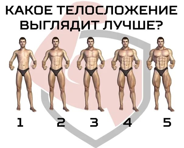 Какая может быть фигура описание. Какое Телосложение. Гармоничное Телосложение. Какие есть типы тела сложения. Комплекция человека.