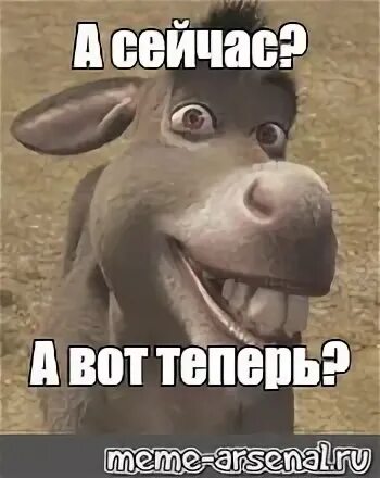 Сделай мне приятно щас буда текст