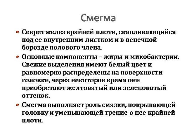 У ребенка под крайней плотью. У ребенка под крайней плотью