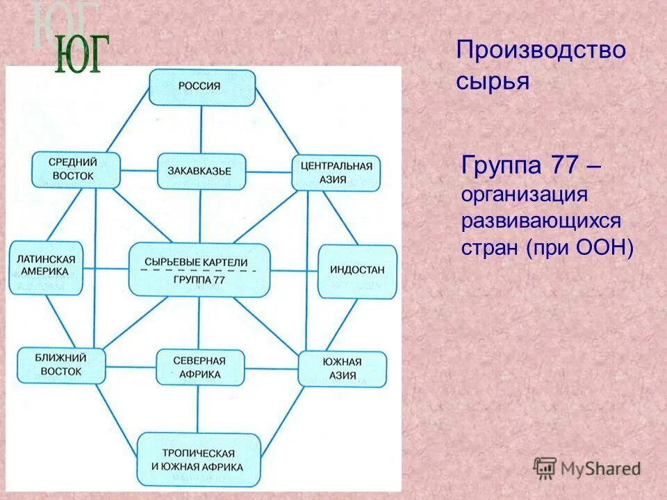 корневища морфологической группы фс. классификация сырья. группы сырья. морфологические группы лекарственного растительного сырья. морфологические группы сырья.