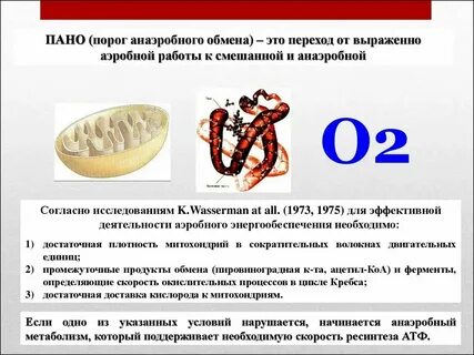 Анаэробный порог это