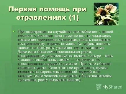 Травы первой помощи