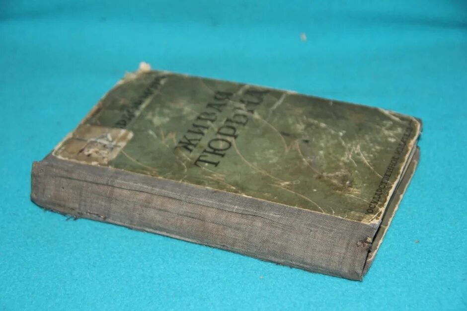 книга 1928 года. белый андрей "петербург". маугли первое издание. 1984 черновики романа. чернильные бесы 1928.