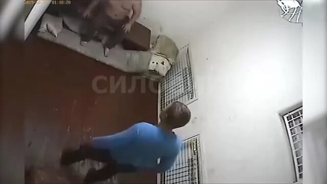 тесак герой. максим марцинкевич в камере. максим марцинкевич 2019. максим марцинкевич в сизо. максима марцинкевич тело.