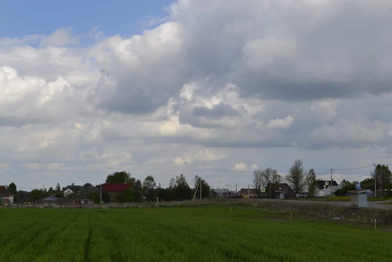 Антелево гатчинский. Авария в антелево гатчинского района. Антелево гатчинский район. Антелево гатчинский район фото. Антелево гатчинский район.