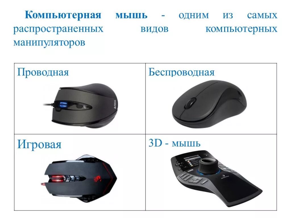 Внешнее устройство мышь. Манипуляторы (компьютерные мыши, джойстики, миди-клавиатуры);. компьютерная мышь вид спереди. компьютерная мышь виды таблица. типы компьютерных мышей.