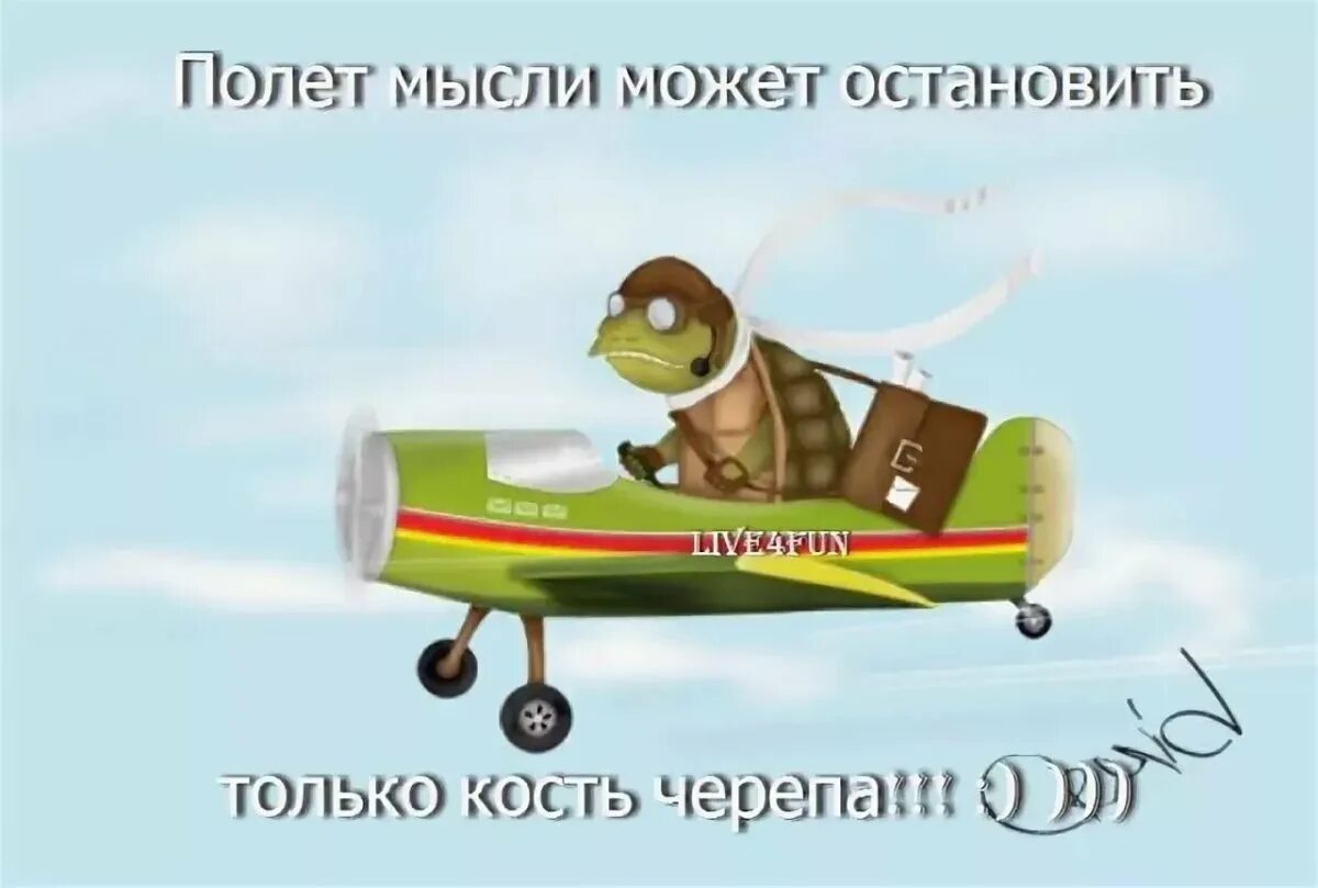 Картинки счастливого полета и мягкой. Хорошего полёта и мягкой. приятного полёта и мягкой посадки в картинках прикольные. доброго полета и мягкой посадки. хорошего вам полета.