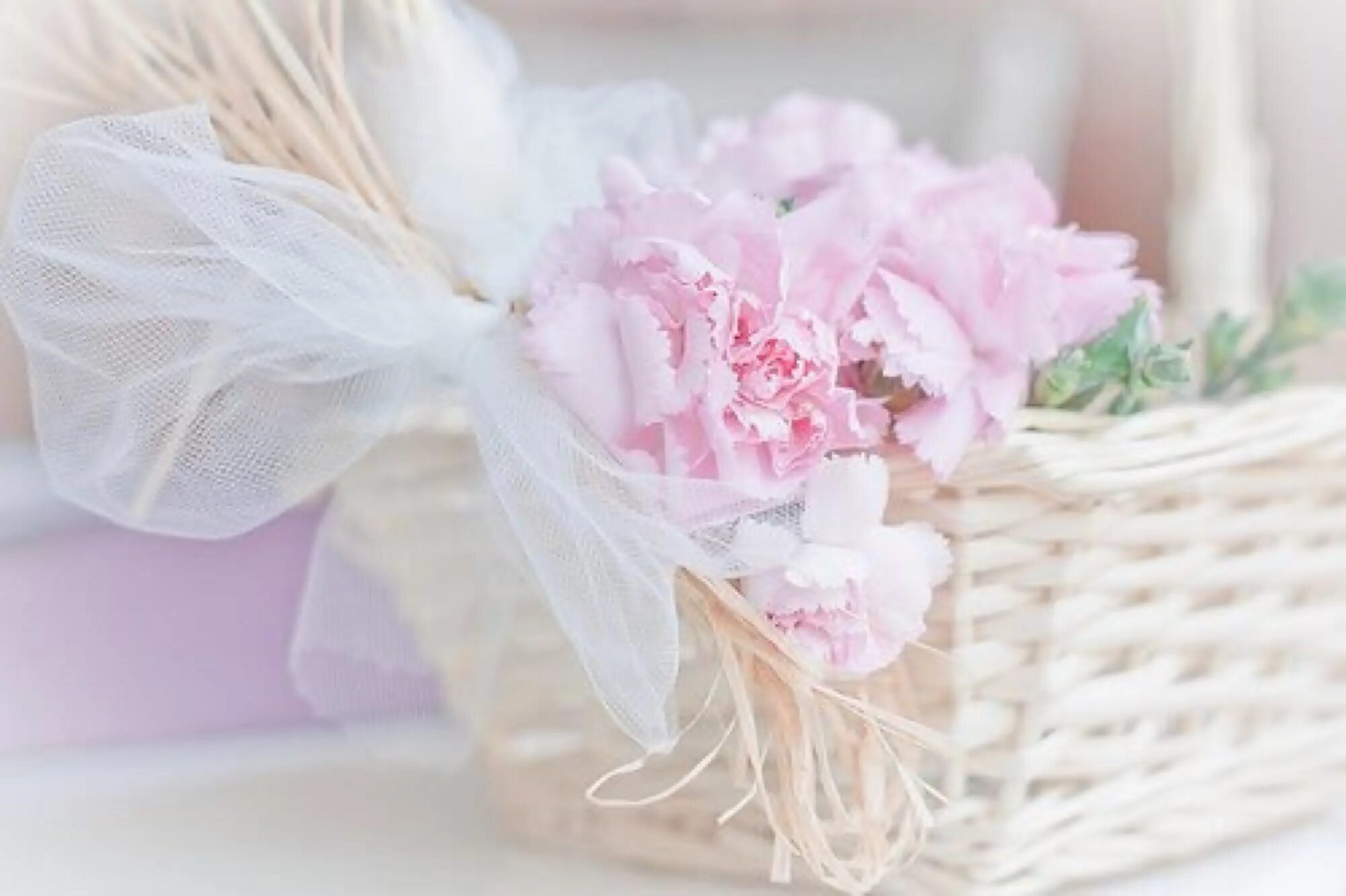 тенсель жаккард постельное. нежный цветок. нежный фон. фон пастельные тона. пастельный фон.