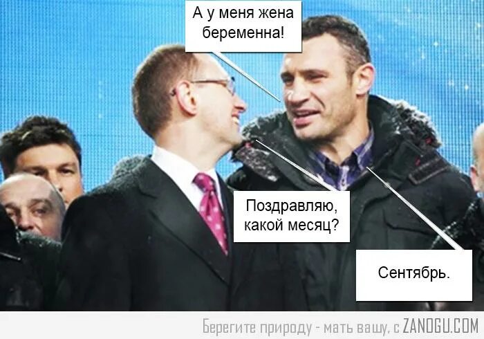 Генератор случайных цитат