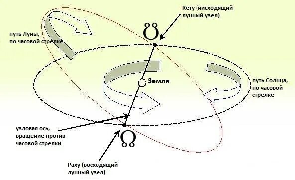 Нисходящий лев